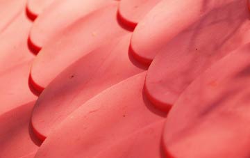 Rhoscefnhir plastic roof costs